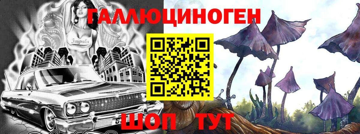 Юрга  купить закладку  Вход с VPN  Псилоцибиновые грибы ЛСД 